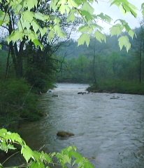 Cheat River